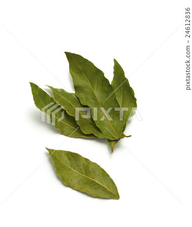 Bay leaves isolated Bay leaves isolated 24612836