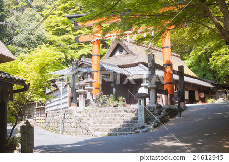 阿塔戈山 24612945