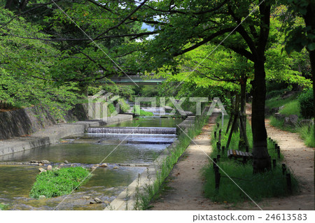 Shikigawa Seishun 3 24613583