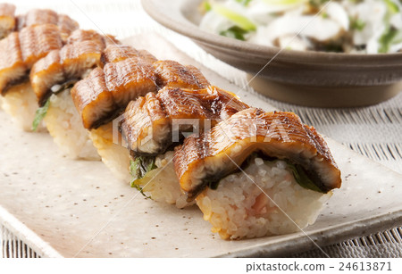 eel 24613871