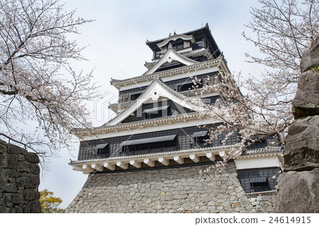 熊本城堡城堡塔 24614915