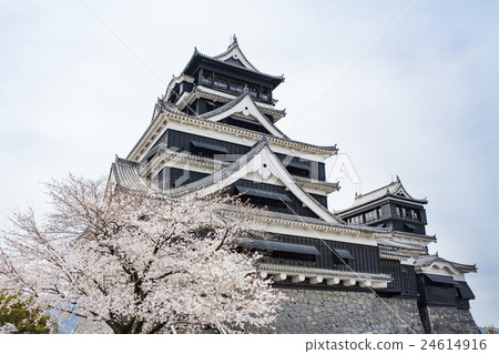 熊本城堡城堡塔 24614916