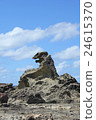 Godzilla Rock of the Oga Peninsula 24615370