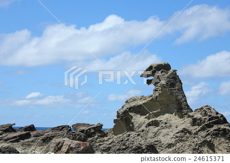 Godzilla Rock of the Oga Peninsula 24615371
