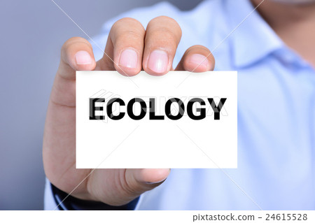 ECOLOGY word on the card shown by a man 24615528