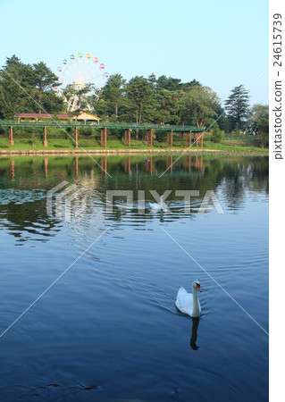 Okazaki South Park in early morning (Okazaki city, Aichi prefecture) Okazaki South Park in early morning (Okazaki city, Aichi prefecture) 24615739