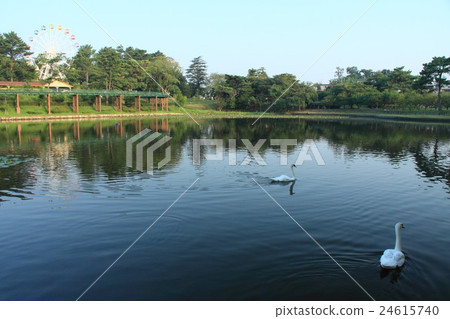 清晨的岡崎南公園(愛知縣岡崎市) 清晨的岡崎南公園(愛知縣岡崎市) 24615740