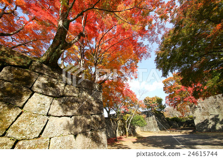 Oka城堡站點秋葉 Oka城堡站點秋葉 24615744