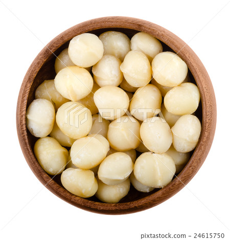 Macadamia nuts in a bowl over white Macadamia nuts in a bowl over white 24615750