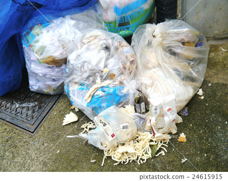 Scattered garbage udon noodles 24615915