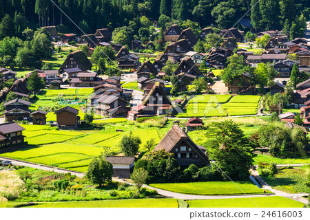 世界遺產初始秋天白川鄉 24616003
