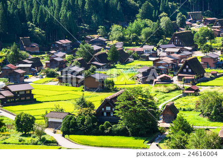 世界遺產初始秋天白川鄉 世界遺產初始秋天白川鄉 24616004