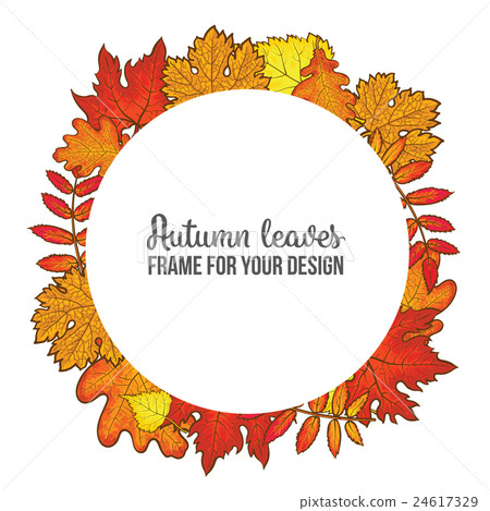 Round frame with fall leaves - maple, oak, rowan Round frame with fall leaves - maple, oak, rowan 24617329