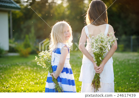 Two adorable little sisters holding wild flowers Two adorable little sisters holding wild flowers 24617439
