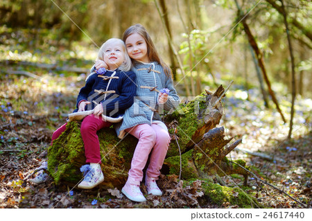 Two little sisters picking the first flowers 24617440