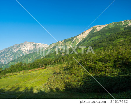 Hope Hakuba from Tsugaike 24617482