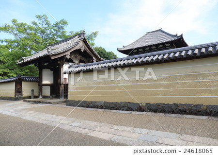 Nara Todaiji Temple 24618065