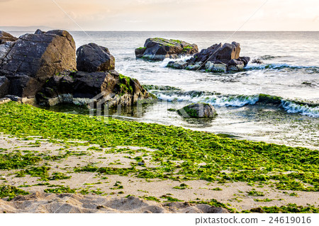 sea waves on the sandy beach sea waves on the sandy beach 24619016