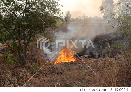 Summer wildfires burning in the Forest at rural. Summer wildfires burning in the Forest at rural. 24620064