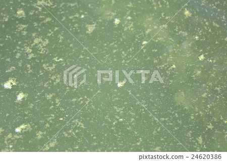 Abstract waste water in cana. Abstract waste water in cana. 24620386