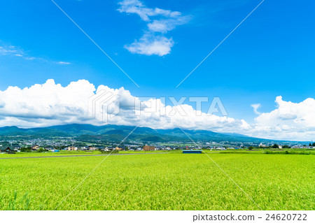 [長野縣]鄉村景觀和夏日的天空 24620722