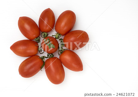 Virgin tomato arranged in the shape of a flower on a white background Virgin tomato arranged in the shape of a flower on a white background 24621072