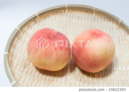 peach peach 24622365
