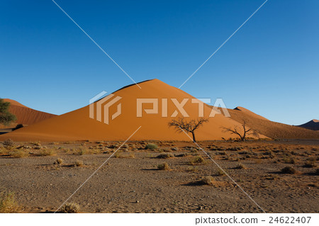 Sossusvlei dunes Sossusvlei dunes 24622407