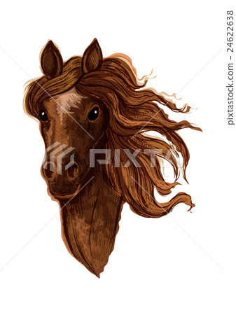 Sketch of brown arabian mare horse Sketch of brown arabian mare horse 24622638
