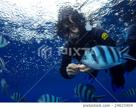 Snorkeling in Okinawa _ Underwater Vol.1 24623404