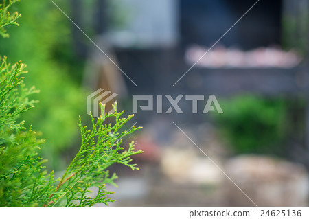 Grilled steak cooking on an open barbecue 24625136