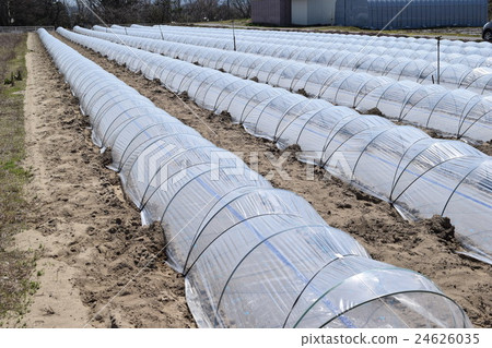 Agricultural plastic house 24626035