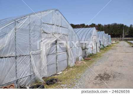 Agricultural plastic house 24626036