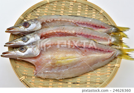 Overnight drying of Camasse 24626360