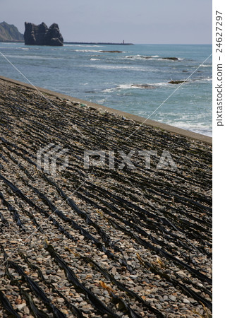 北海道日高海帶天堂日出 24627297