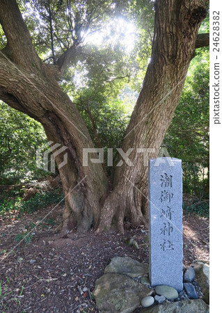 Tide Misaki Shrine Tide Misaki Shrine 24628382