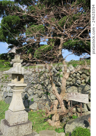 Omiyashi Omiyashi 24628394