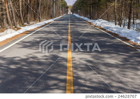 Scenic winter road through icy forest 24628707