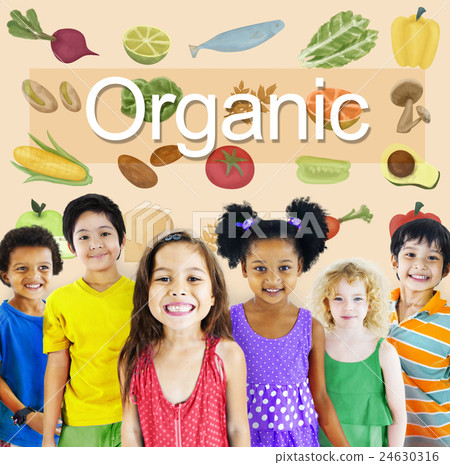 Organic Nutrition Nature Ingredients Agriculture Concept 24630316