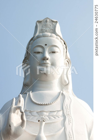 Kannon of Lynx Temple in Danang, Vietnam 24630775