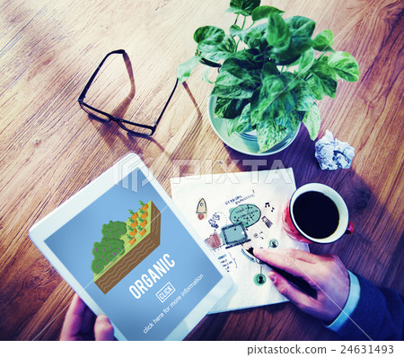 Organic Agriculture Crop Environment Growing Concept 24631493