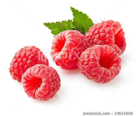 Raspberry with leaves 24632609