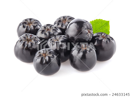 Chokeberry in closeup 24633145