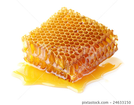 Honeycomb in closeup 24633150