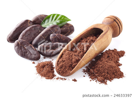 Cacao powder with beans 24633397