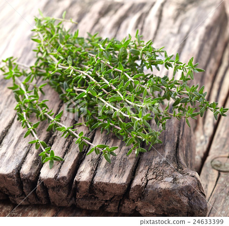 Thyme spices 24633399