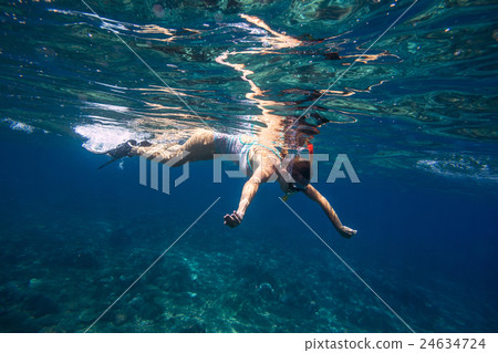 Young Women Snorkeling in the Tropical Water 24634724