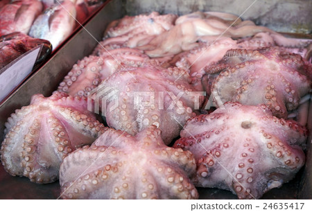 Fresh octopus in the market 24635417