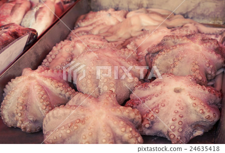Fresh octopus at the fish market, toned image 24635418