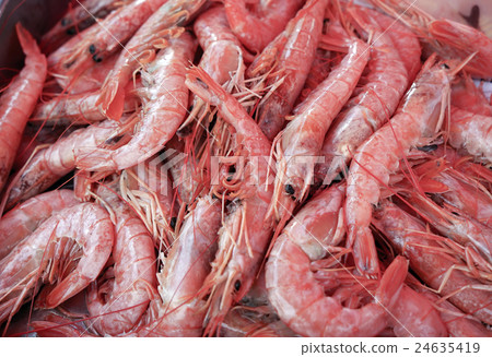 Fresh prawns on the ice in fish market 24635419